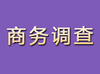 横山商务调查