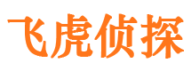 横山侦探取证